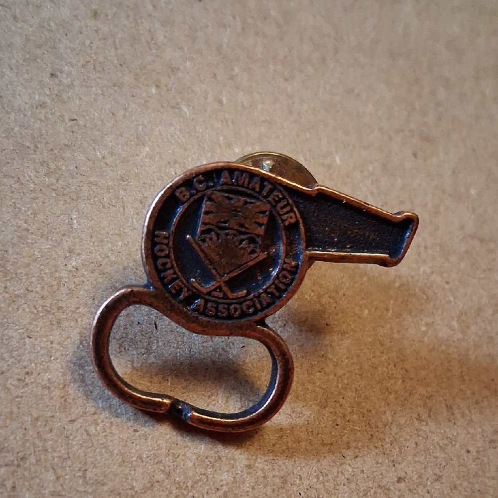 Bronze Pin